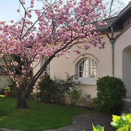 Maison D'Hotes Paris Riverside Saint-Maur-des-Fosses Exterior photo