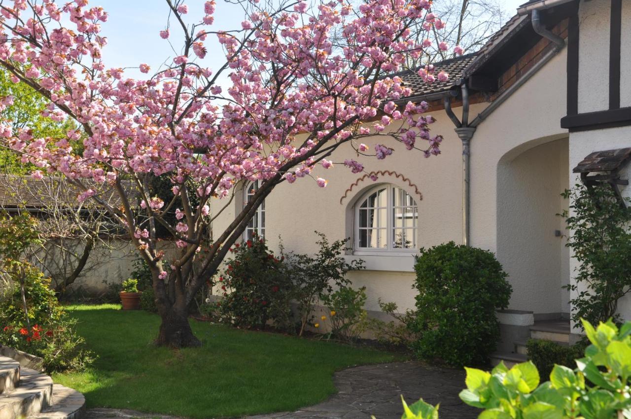 Maison D'Hotes Paris Riverside Saint-Maur-des-Fosses Exterior photo